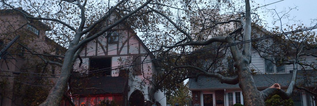 Bombeiros observam casas destruídas por árvores com a passagem do furacão Sandy