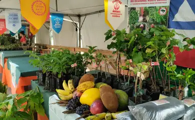 Feira do MST apresenta mais de 1,8 mil produtos na capital paulista