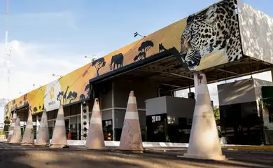 Caso de gripe aviária é confirmado no Zoológico de Brasília