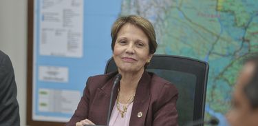 Ministra da Agricultura, Pecuária e Abastecimento do Brasil Tereza Cristina