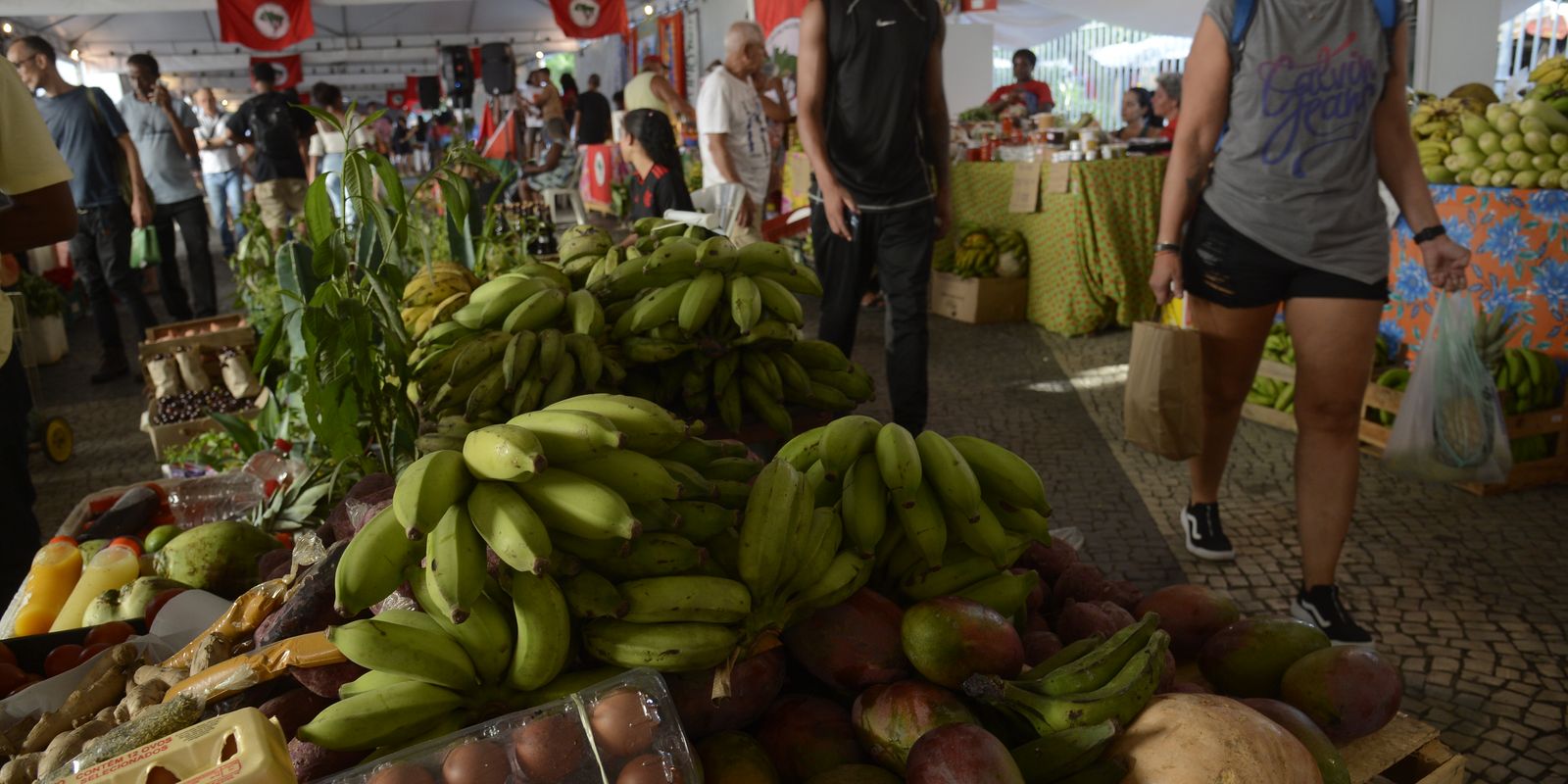 Alimentos saudáveis e reforma agrária: RJ recebe 15ª Feira do MST