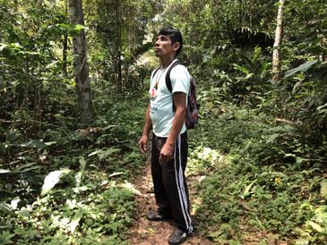 O guia Raimundo Vasconcelos acompanhou a equipe da TV Brasil em uma caminhada de 7 quilômetros pela floresta amazônica;