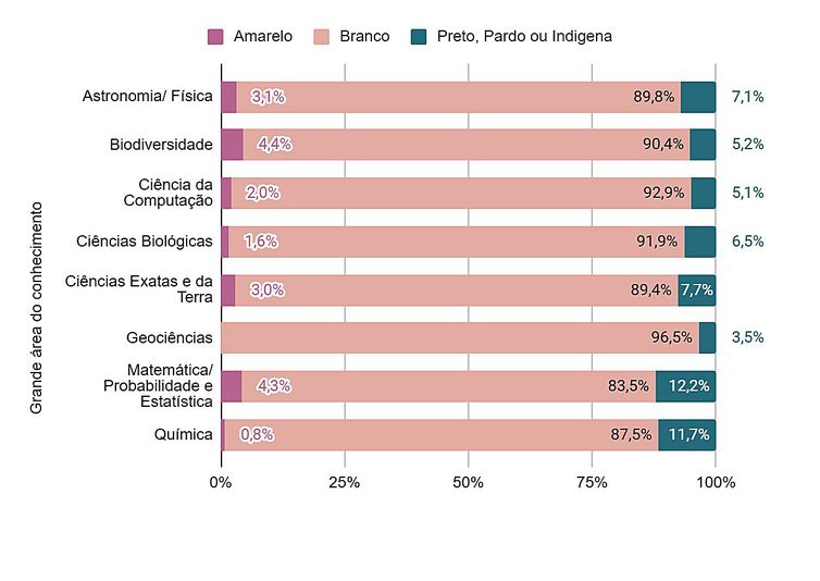 Negros e indígenas não passam de 7,4% dos professores em pós-graduação - Segmentação por área de conhecimento. Arte: Instituto Serrapilheira