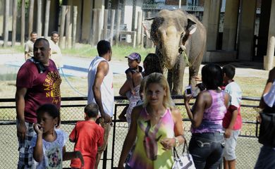 Rio de Janeiro -  Animais do zoo se refrescam com sorvete e banho extra no intenso verão do Rio de janeiro. Em algumas refeições, os tratadores têm oferecido alimentos congelados para os animais do local, na tentativa de amenizar o calor