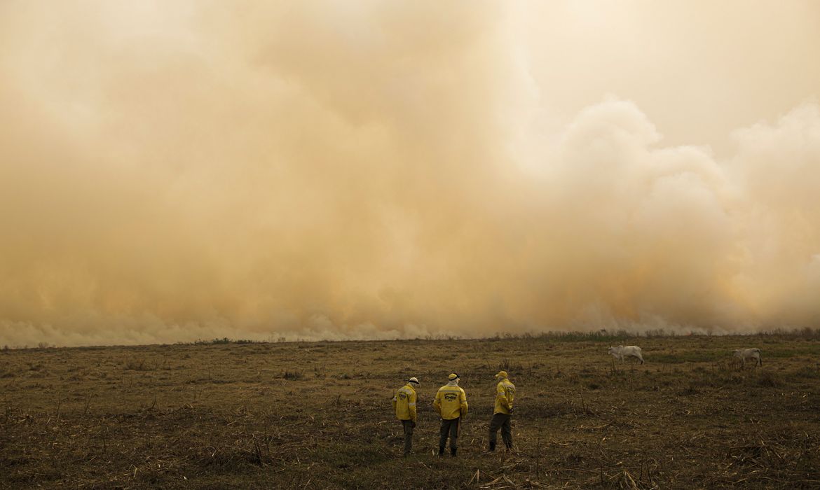 Pantanal registra más de 9 mil incendios en los últimos 12 meses