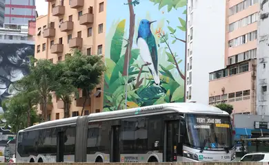 Movimento de ônibus no viaduto Doutor Plínio de Queirós, em Bela Vista.