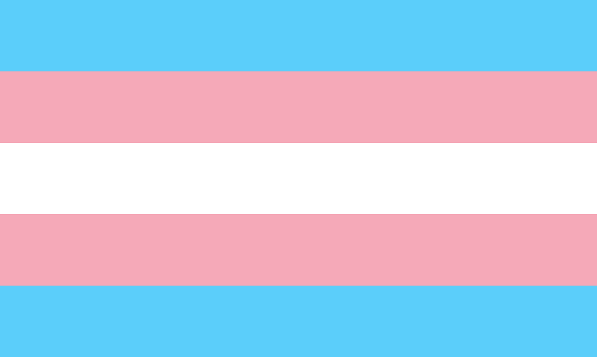 bandeira_transgenero