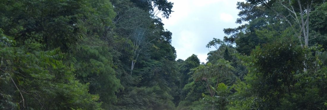 Xapuri (AC) - Estrada que corta a reserva extrativista Chico Mendes, Seringal Cachoeira