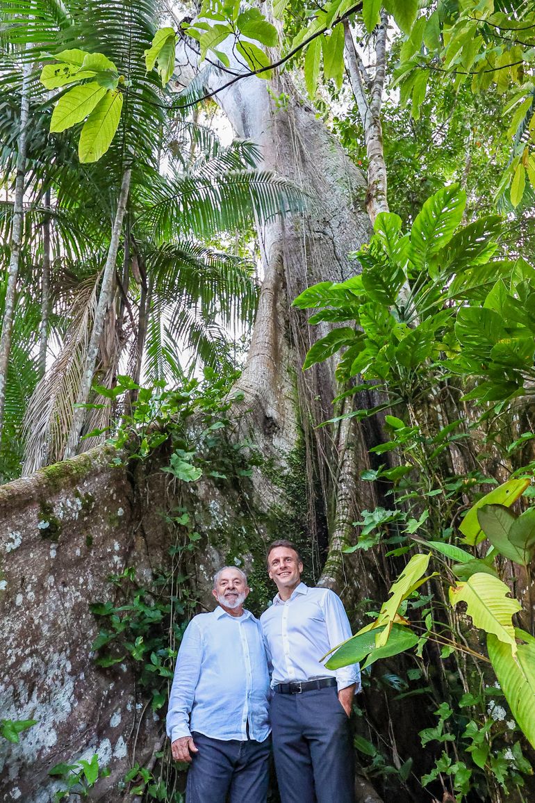 26.03.2024 - Presidente da República, Luiz Inácio Lula da Silva e o Presidente da República Francesa, Emmanuel Macron, junto à Sumaúma, a maior árvore da Amazônia, na Ilha Combu. Belém - PA. Foto: Ricardo Stuckert/PR