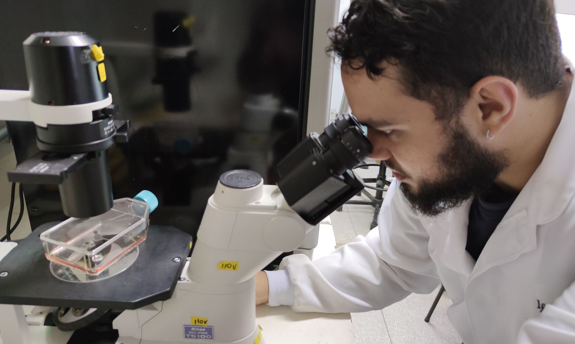 Robson Moura/TV Brasil Células neuronais pesquisadas pela UNB