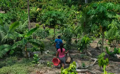 04/09/2026 - Da Amazônia ao Chaco, América Latina tem desafios com secas e clima
Jovens e indígenas cobram respostas para além da COP da Desertificação.  Foto: Associação Intercultural Bari Wesna
