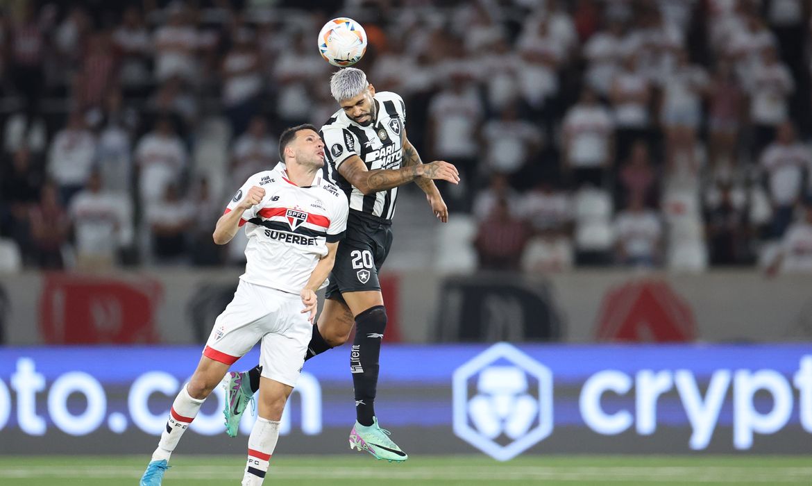 botafogo, são paulo, libertadores