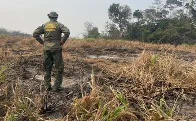 Amazônia-11/12/2024 Amazônia tem o maior número de queimadas e incêndios em 17 anos.  Foto:  Agência Santarém.