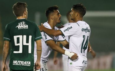 Palmeiras, guarani, paulista