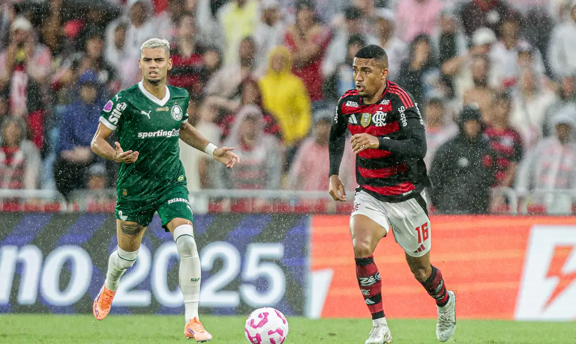 flamengo, palmeiras, libertadores