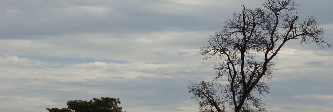 Cerrado Lançado Cadastro Ambiental Rural no DF