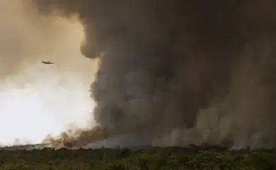 Brasília (DF), 16/09/2024 - Grandes focos de incêndio atingem áreas do Parque Nacional de Brasília. Foto: Marcelo Camargo/Agência Brasil