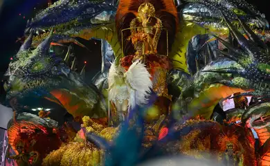 Rio de Janeiro - Desfile da escola de samba do grupo especial Grande Rio, no Sambódromo (Fernando Frazão/Agência Brasil)