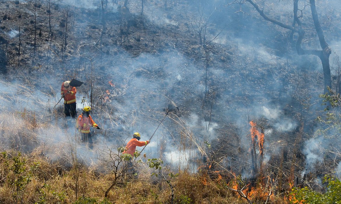 Bombeiros combatem incêndio na região da Fercal (Antonio Cruz/Agência Brasil)