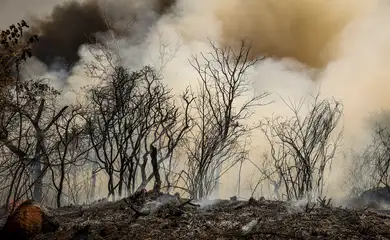 Brasília (DF), 24/08/2024 - Brigadistas do Instituto Brasília Ambiental e Bombeiros do Distrito Federal combatem incêndio em área de cerrado próxima ao aeroporto de Brasília. Foto: Marcelo Camargo/Agência Brasil