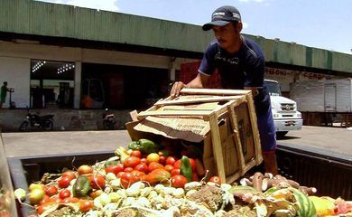 O programa Caminhos da Reportagem, da TV Brasil, aborda o desperdício na cadeia de produção de alimentos 
