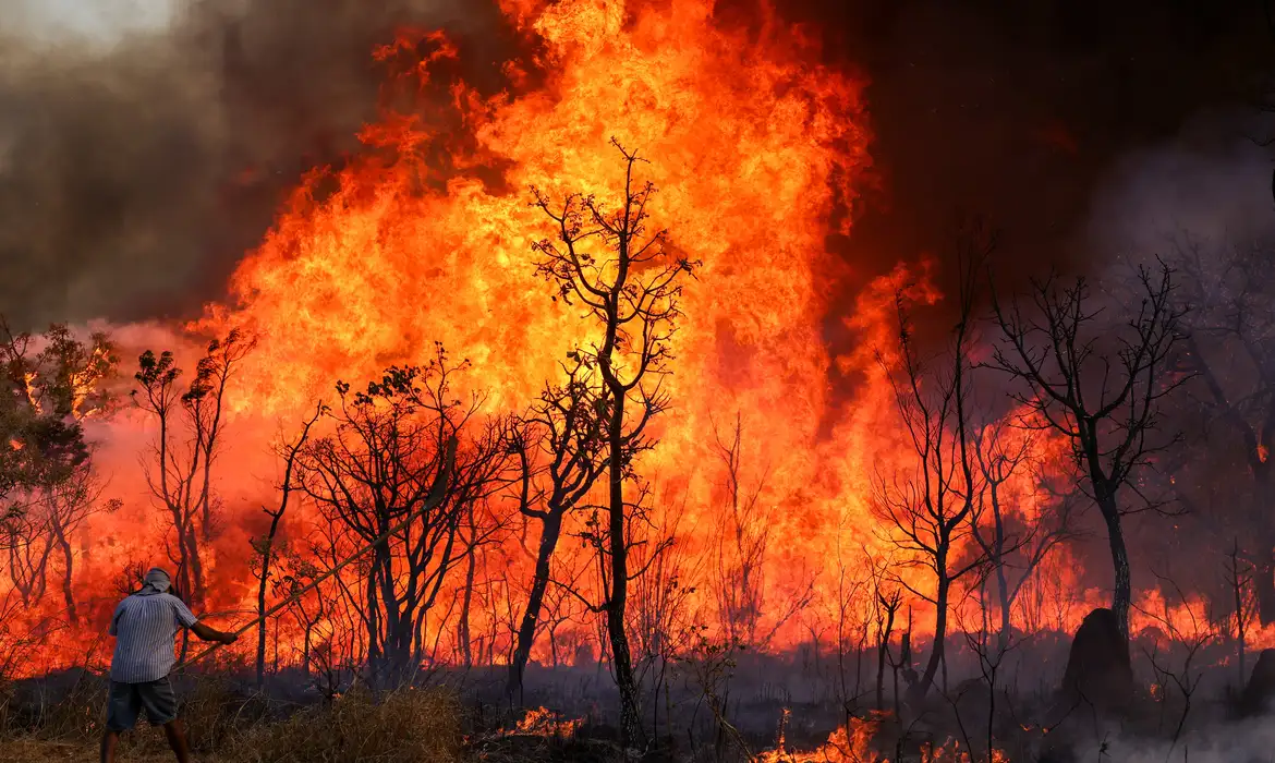 Brasília, DF 15-09-2024 Um Incendio atingiu o Parque Nacional de Brasília. Bombeiros e populares tentavam conter as chamas Foto: Fabio Rodrigues-Pozzebom