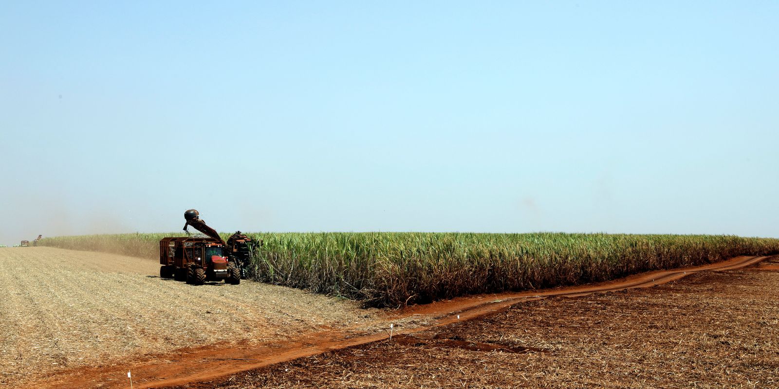 El Niño continuará até meados de 2024, ameaçando a agricultura