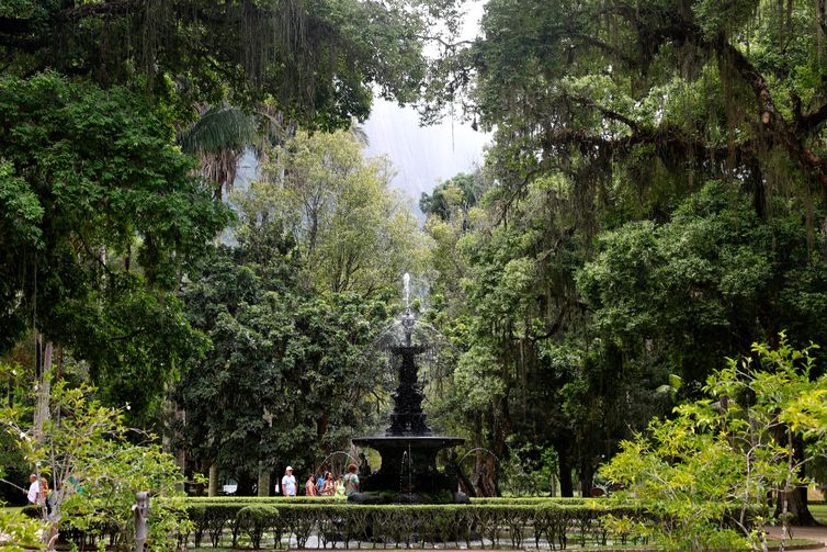 Rio de Janeiro (RJ), 21/03/2025 - O Jardim Botânico do Rio de Janeiro possui um dos sistemas de abastecimento e escoamento de água mais antigos do país. As canaletas, que conduzem as águas do Rio dos Macacos até áreas urbanas da cidade, datam dos anos 1820 e são usadas até os dias de hoje. Foto: Tânia Rêgo/Agência Brasil