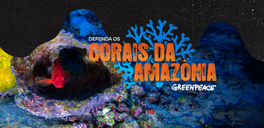 Campanha Defenda os Corais da Amazônia 