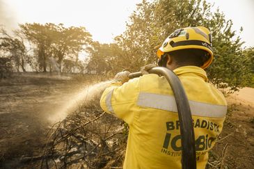 Porto Jofre (MT) 17/11/2023 – Brigadistas do ICMBIO fazendo resfriamento do fogo, durante incêndio florestal que atige o Pantanal.
Foto: Joédson Alves/Agência Brasil