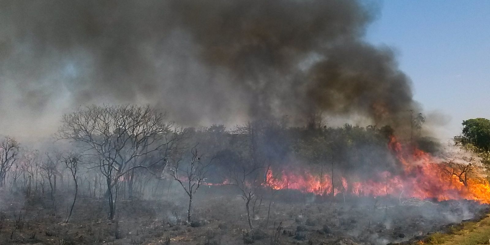 Detran Tocantins orienta motoristas sobre incêndios perto de estradas Detran Tocantins orienta motoristas sobre incêndios perto de estradas