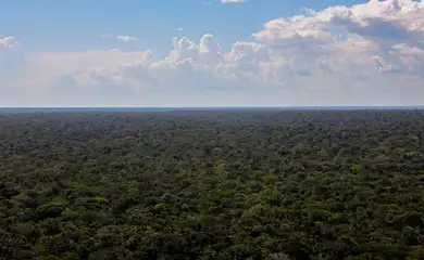 Organizações sociais propõem plano para investimentos na Amazônia
