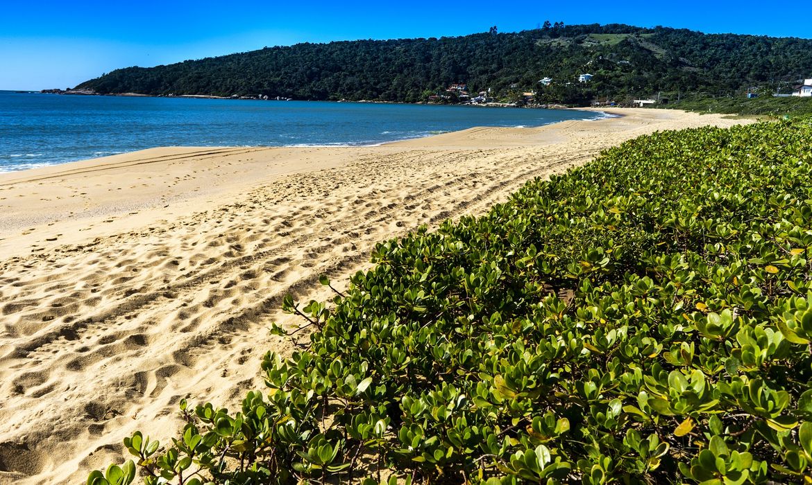 praia de taquaras em Balneário Camboriú