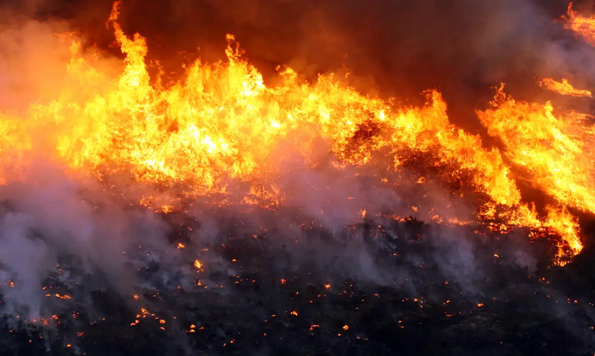 Bombeiros, Brigadistas e Força Aerea Nacional combatem Incendios na Chapada Diamantina.