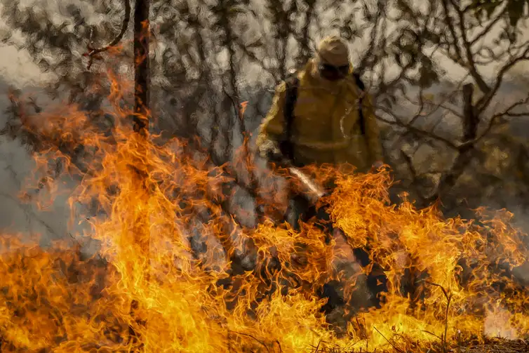 Brasília (DF), 24/08/2024 - Brigadistas do Instituto Brasília Ambiental e Bombeiros do Distrito Federal combatem incêndio em área de cerrado próxima ao aeroporto de Brasília. Foto: Marcelo Camargo/Agência Brasil