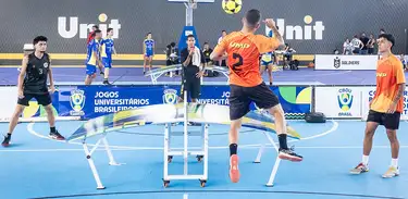 Futmesa