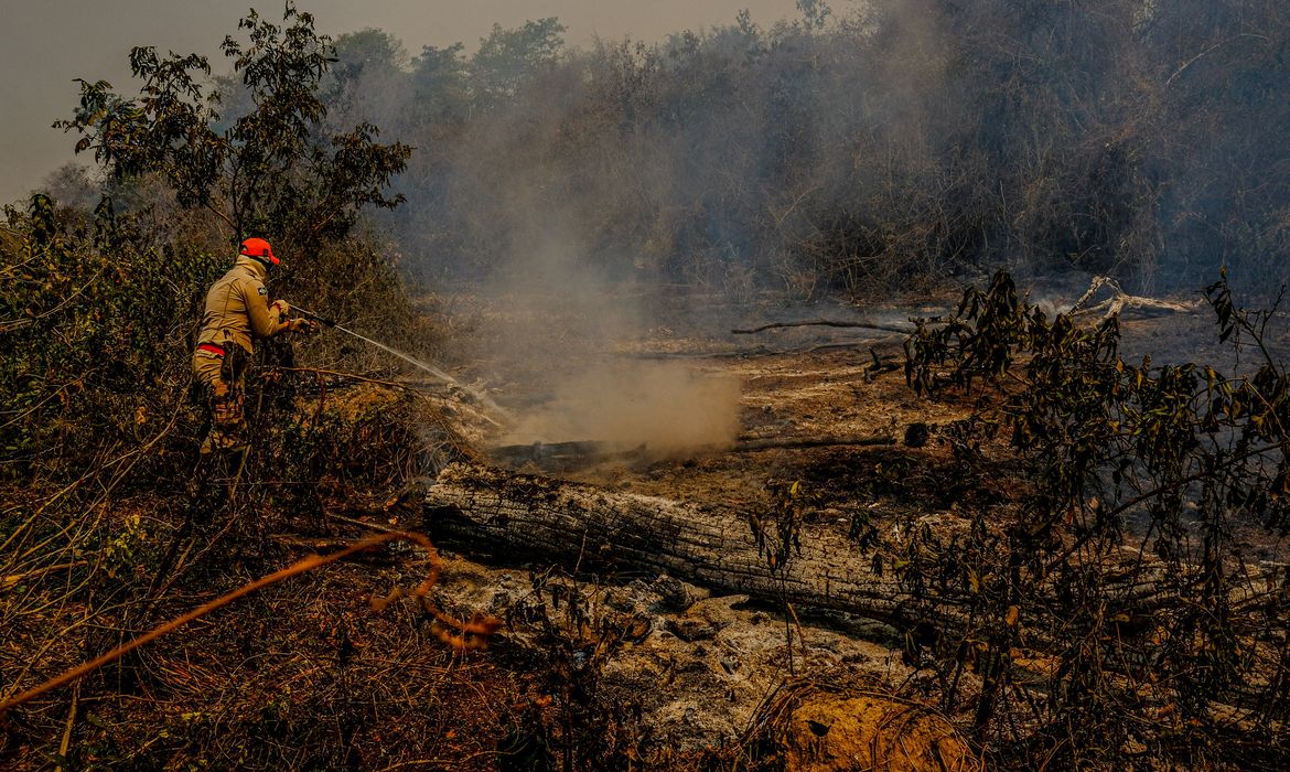 queimada no Pantanal