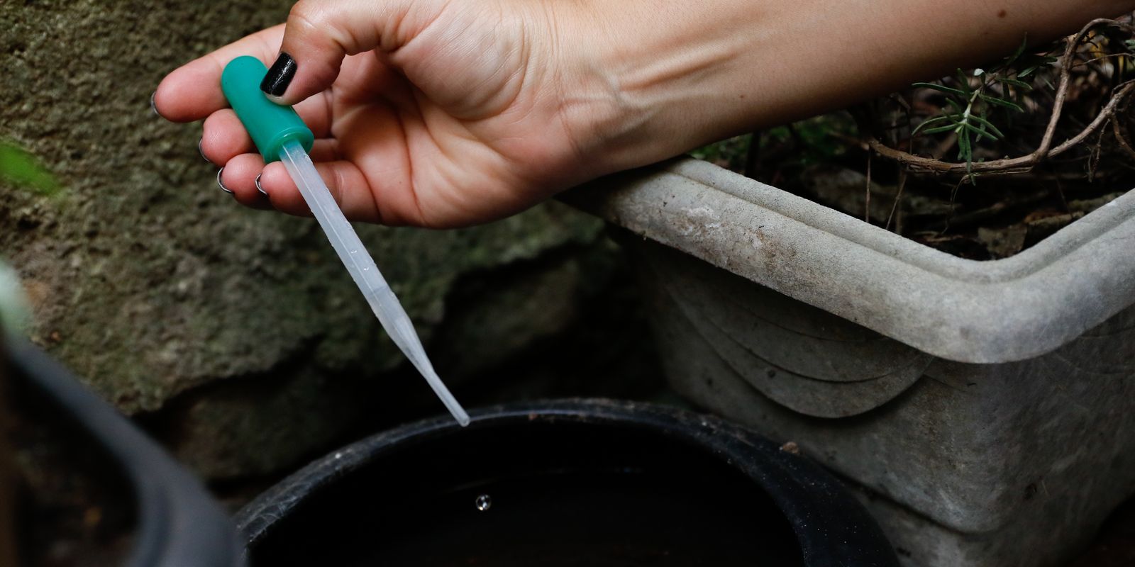 Saúde abre edital para contratação emergencial de fumacê no DF Saúde abre edital para contratação emergencial de fumacê no DF