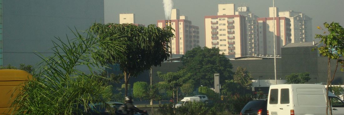 Bebês expostos à poluição se tormam adultos mais alérgicos Estudo aponta que poluentes das grandes metrópoles deixam indivíduos predispostos a doenças como a asma
