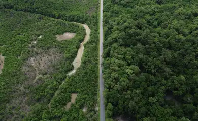 Bragança (PA), 12/06/2025 – Área de manguezal na Reserva Extrativista Marinha de Caeté-Taperaçu monitorada pelo projeto Mangues da Amazônia. Foto: Fernando Frazão/Agência Brasil