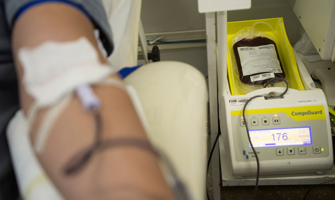 Saúde reforça importância de doar sangue durante férias e festas de fim de  ano | Agência Brasil