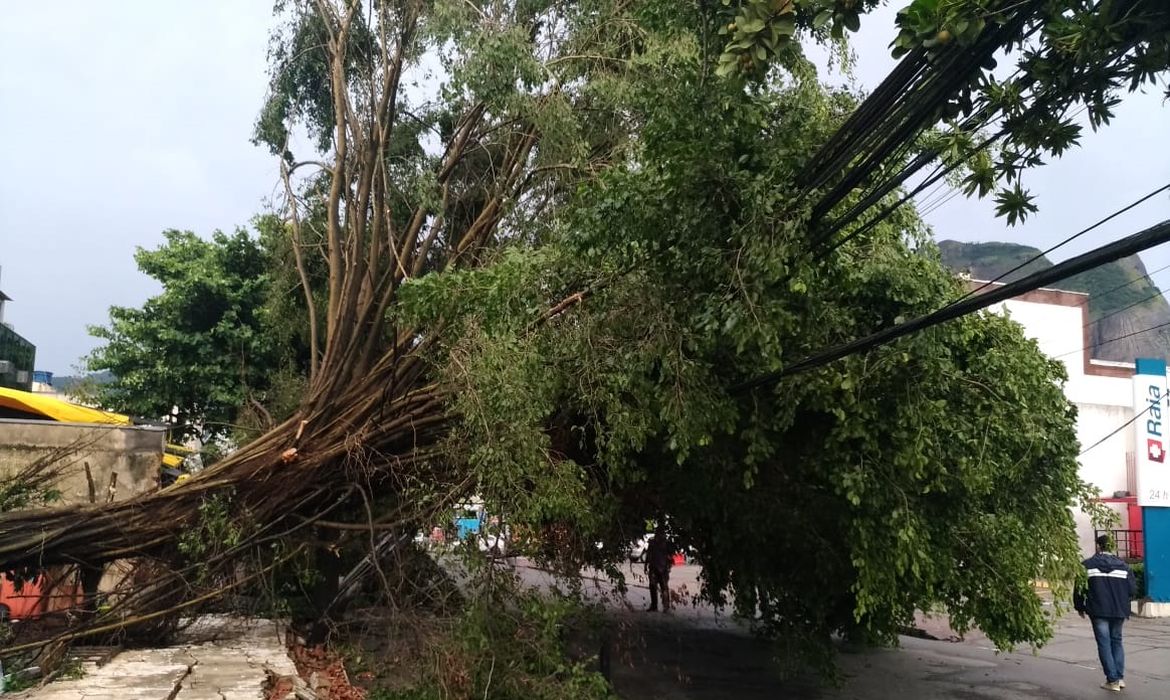 Chuvas provocam quedas de árvore e tapumes na Barra da Tijuca