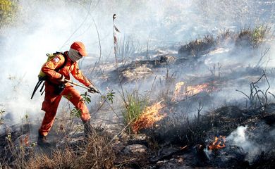 Brigadistas combatem o incêndio na Chapada Diamantina  (Mateus Pereira/GOVBA)