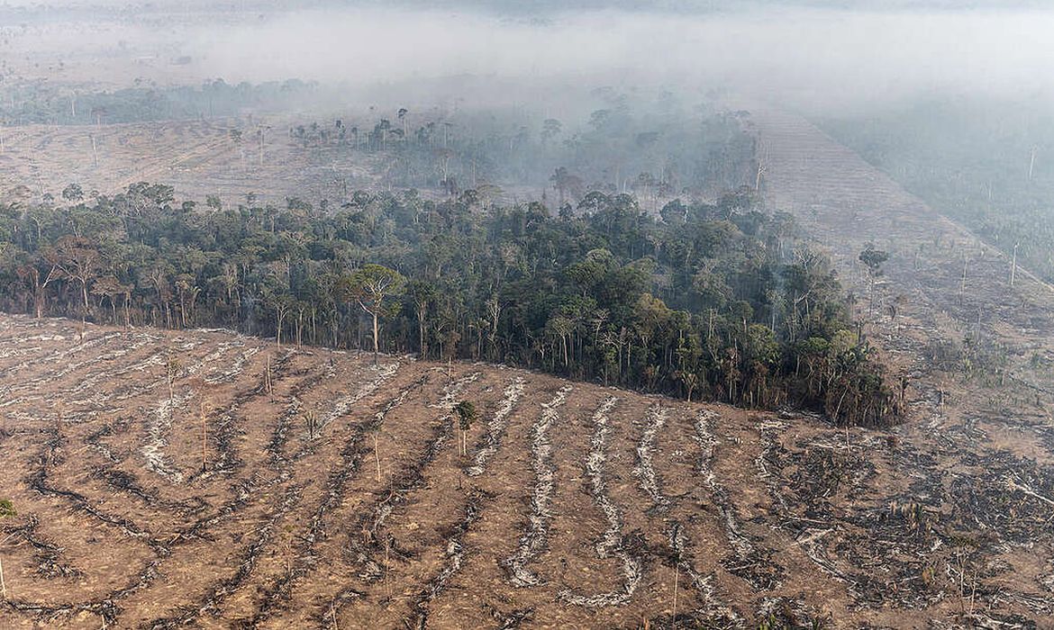 Desmatamento Amazônia - Porto Velho (RO). Foto:  Marizilda Cruppe / Greenpeace