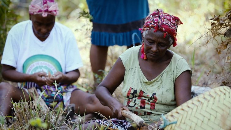 Quebradeiras de coco são ícones da identidade cultural do Maranhão