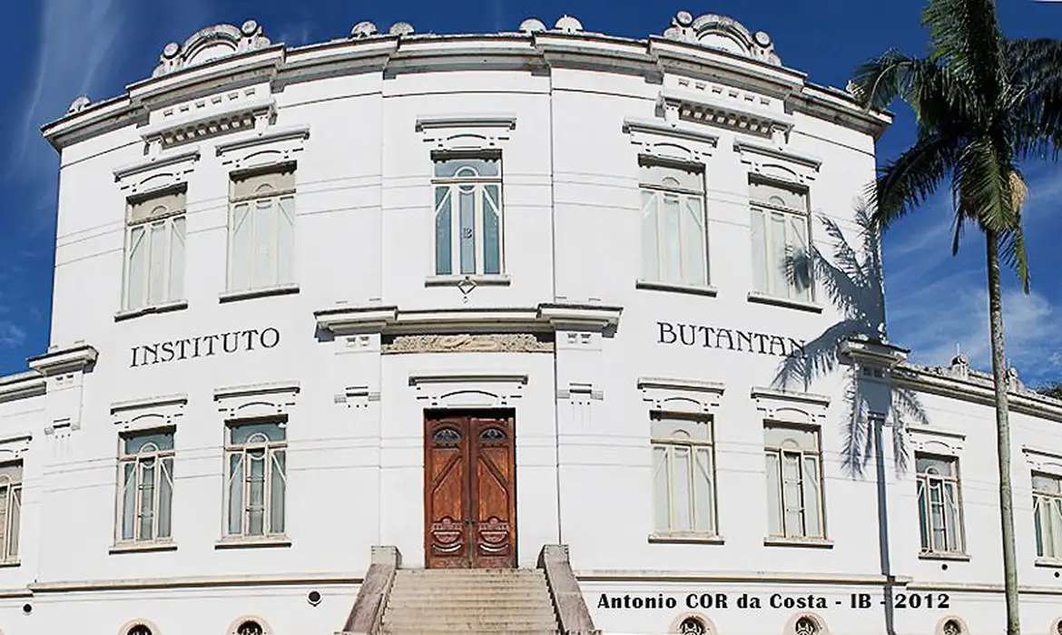 Butantan pede autorização para testar soro contra covid-19 em humanos Butantan pede autorização para testar soro contra covid-19 em humanos