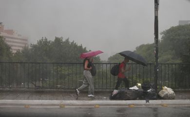 São Paulo (SP), 16/01/2025 -  Forte chuva no centro de São Paulo no final da tarde. Foto: Paulo Pinto/Agência Brasil