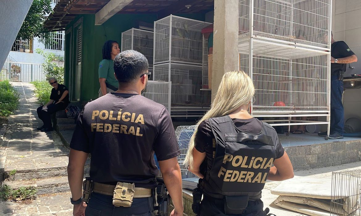 Operação Operação da PF/RJ e IBAMA contra tráfico de animais - Aves apreendidas. Foto: Polícia Federal/RJ
