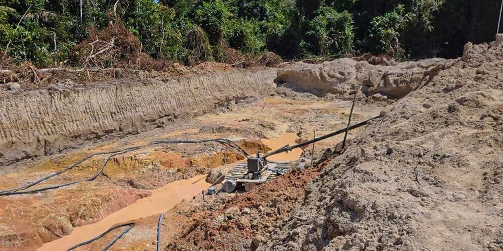 Instituto vai combater contaminação por mercúrio na Amazônia