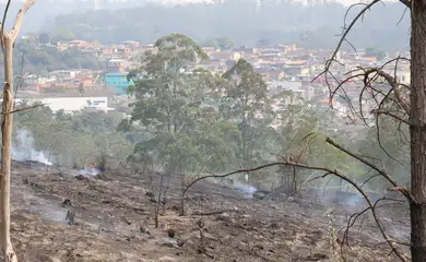 Itapecerica da Serra (SP), 13/09/2024 - Incêndio em terreno da Companhia de Saneamento Básico do Estado de São Paulo - Sabesp, na região metropolitana de São Paulo. Foto: Rovena Rosa/Agência Brasil